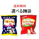 天使のはね 自由に選べる20袋セット / ばらまきお土産 塩味 梅味