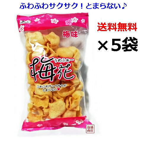せんべい【梅花(うめふぁー)】66g×5袋セット / 塩せんべい 亀せんべいの老舗 沖縄 玉木製菓