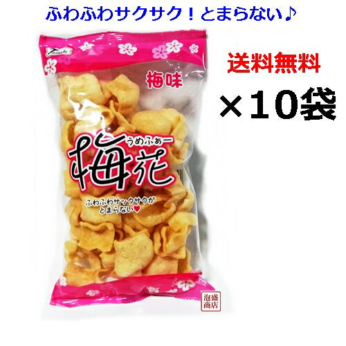 せんべい【梅花(うめふぁー)】66g×10袋セット / 塩せんべい 亀せんべいの老舗 沖縄 玉木製菓