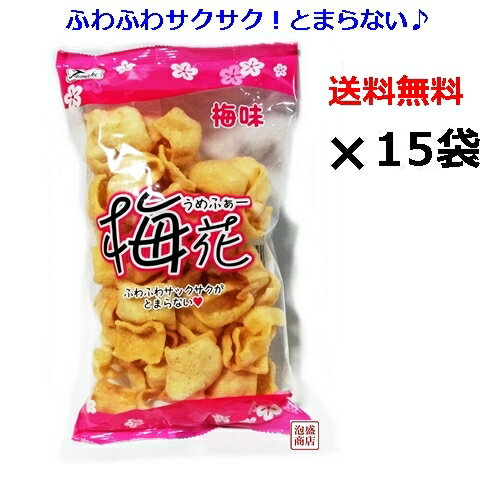 せんべい【梅花(うめふぁー)】66g×15袋セット / 塩せんべい 亀せんべいの老舗 沖縄 玉木製菓