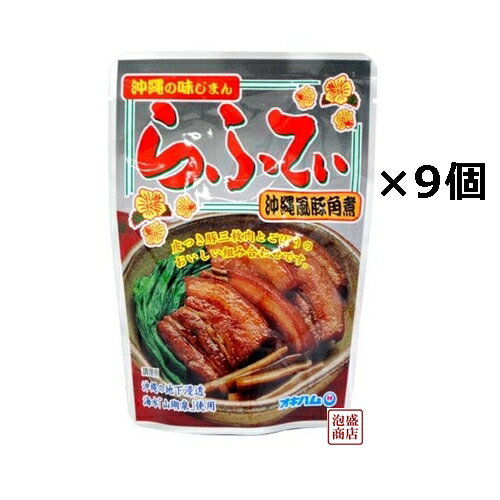 らふてぃ ごぼう入り 165g×9個セット、 沖縄風豚角煮 ゴボウ入り オキハム /