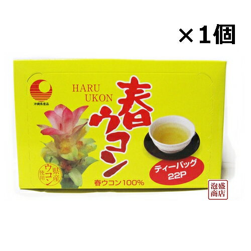 春ウコン茶 ティーバッグ （2g×22p）×1個 比嘉製茶 沖縄産春ウコン使用