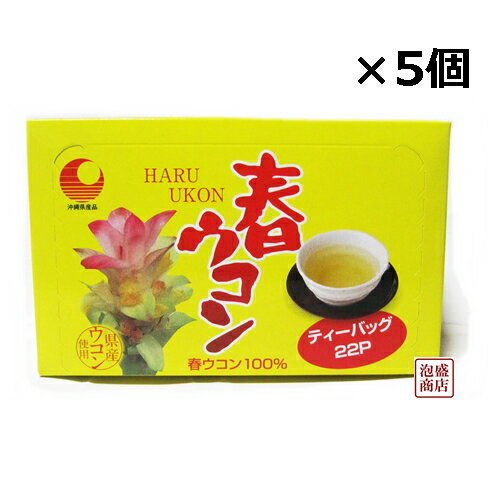 春ウコン茶 ティーバッグ （2g×22p）