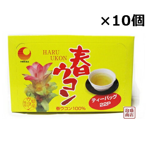 春ウコン茶 ティーバッグ （2g×22p）