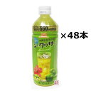 【シークヮーサージュース】 沖縄ボトラーズ 550mlペット×48本セット（2ケース） 　/ 沖縄県産果汁使用！シークワーサー