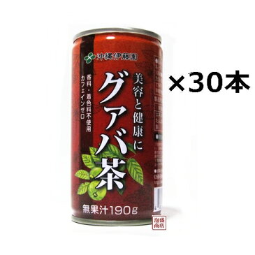 【グァバ茶】沖縄伊藤園 190g缶×30本セット（1ケース）香料 着色料無添加 カフェインゼロ