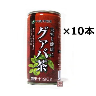 【グァバ茶】沖縄伊藤園 190g缶×10本セット　【お試し　簡易梱包 】　香料 着色料無添加 カフェインゼロ