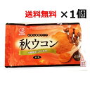 秋ウコン粉(袋入り)粉末 100g×1個 パウダー 信頼の老舗 沖縄の比嘉製茶より 沖縄県産100% 国産