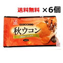 秋ウコン粉（袋入り）粉末 100g×6個