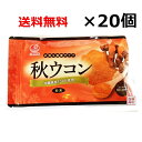 秋ウコン粉(袋入り)粉末 100g×20個セット パウダー 信頼の老舗 沖縄の比嘉製茶より 沖縄県産 国産