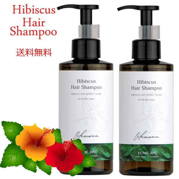 【送料無料】アミノ酸系シャンプー 無添加 ノンシリコン ゆめじん ハイビスカスヘアシャンプー 300ml×2本 メントール配合 リンス不要 頭皮に優しいシャンプーのサムネイル