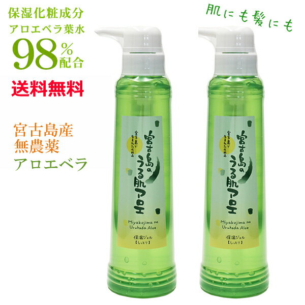 アロエベラジェル アロエジェル 無添加 宮古島のうる肌アロエ 300g×2本 【送料無料】 アロエベラ ジェル アロエベラ葉水 保湿ジェル 無香料 オールインワンジェル 顔 髪 体 ボディケア 日焼け後