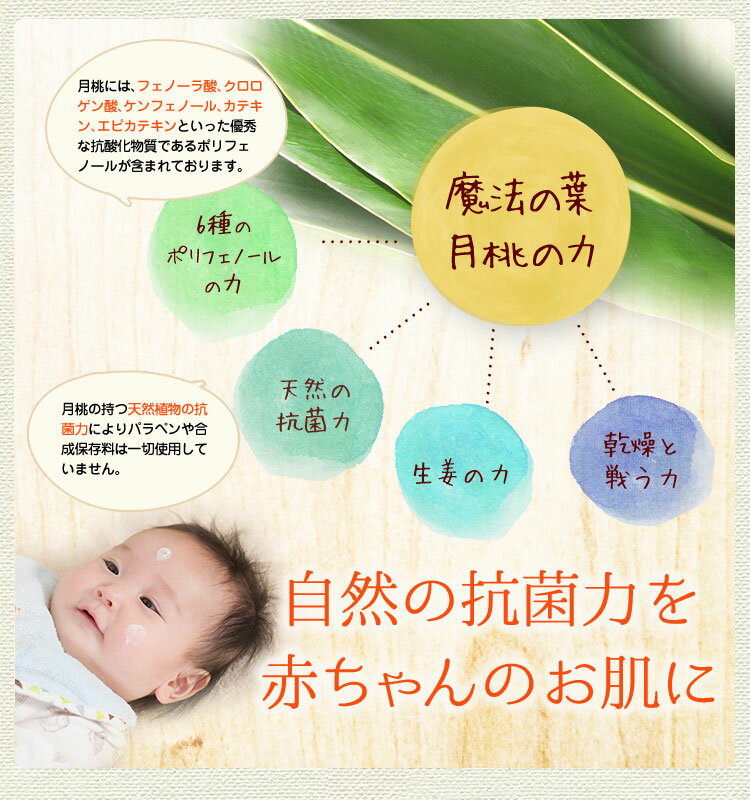 敏感肌 赤ちゃん 保湿クリーム 月桃クリーム ティーツリークリーム 天然成分 25g 10個 沖縄土産の通販なら 河野商店 無添加 月桃 ティーツリーのケアクリーム 月桃エキスとティーツリーエキス配合の無添加保湿クリーム 子どもさんにも 敏感肌 保湿クリーム 無添加 子供