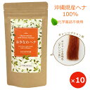 白髪染め トリートメント ヘアカラー おきなわヘナ オレンジブラウン 100g ×10個 国産ヘナ100% ナチュラルヘナ 無添加 メンズ 女性 白髪ぼかし オ...