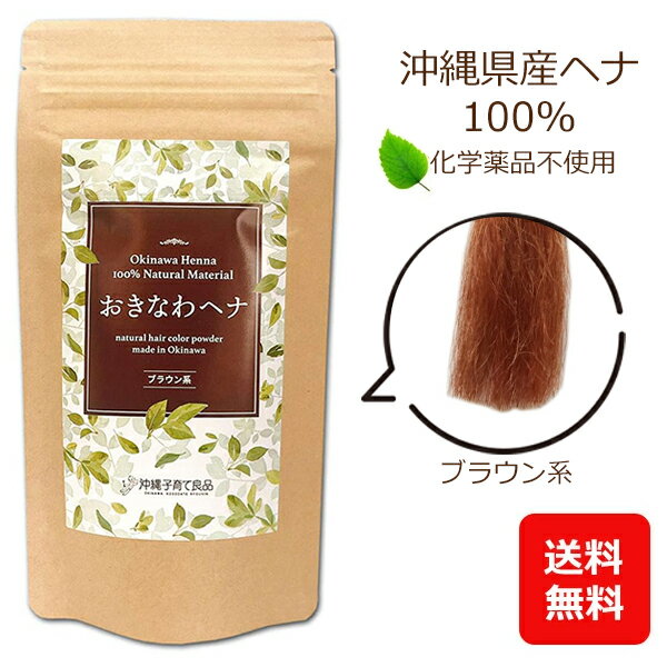 ヘナ インディゴ 白髪染め トリートメント ブラウン 100g 【メール便送料無料】 おきなわヘナ ヘナ100%+インディゴ メンズ 女性 カラートリートメント...