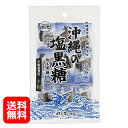 沖縄の塩黒糖 黒糖 塩入り100g 【 送料無料 】 黒糖 個包装 ミネラル補給 塩分補給 一口サイズ 熱中症対策 サンゴカルシウム 沖縄のお土産 ばらまき 黒...