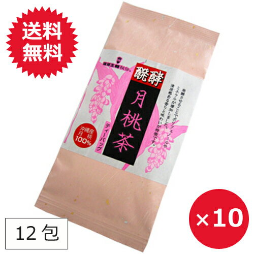 月桃茶 ティーパック ティーバッグ 醗酵月桃茶 12包×10個 【送料無料】 月桃葉 沖縄 ポリフェノール 沖縄のお茶 沖縄土産 ノンカフェイン いい香りのお茶 おうち時間 リラックスタイム