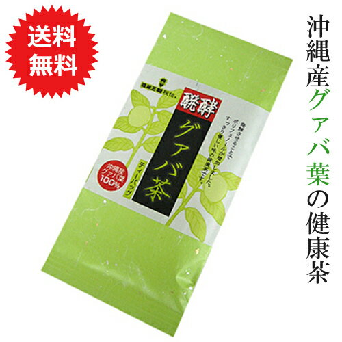 発酵グァバ茶 グァバ茶 国産 ティーバッグ 醗酵グァバ茶 15包【メール便送料無料】 沖縄県産グァバ葉100 沖縄のお茶 飲みやすい ケルセチン