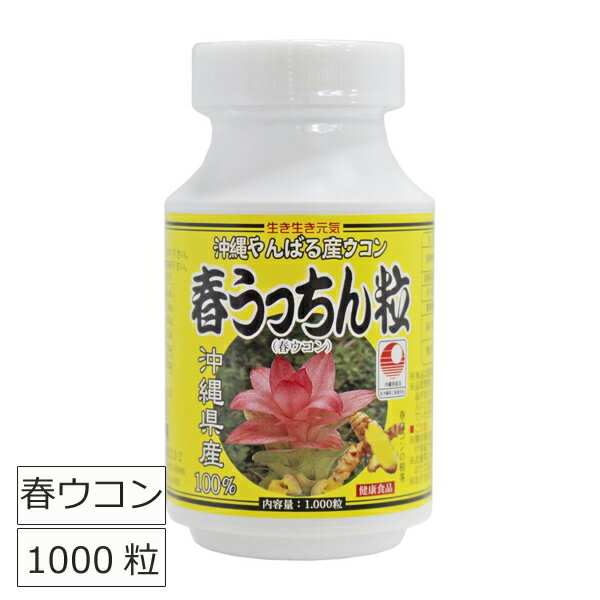 楽天沖縄のお土産、塩、食品　河野商店ウコン粒 春ウコン 春うっちん粒 100mg×1000粒 ウコン 粒 サプリメント 錠剤 沖縄のウコン 食物繊維 お酒のサプリ