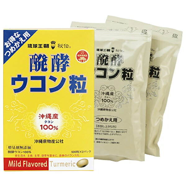 ウコン 粒 錠剤 サプリ 醗酵 発酵ウコン粒 200mg×500粒×2袋（1000粒）詰替え用 沖縄 秋ウコン サプリメント 沖縄ウコン堂