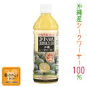 シークワーサー 原液 沖縄 オキナワシークワーサー100 500ml オキハム 果汁 100% ストレート シークヮーサー ペットボトル ノビレチン ビタミンC 美味しい おすすめ