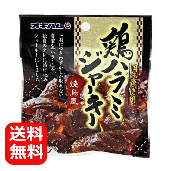 ジャーキー おつまみ 沖縄 お土産 鶏ハラミジャーキー 20g 【メール便送料無料】 オキハム 沖縄ハム 焼き鳥風 美味しい ポイント消化 沖縄土産 鶏肉 チキンジャーキー ビールのつまみ お酒の肴 食べきりサイズ