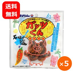 オキハム ジャーキー おつまみ ガッツくん 15g×5個 【メール便送料無料】 沖縄ハム 沖縄土産 豚ジャーキー 豚 胃袋 ガツ ホルモン お酒の肴