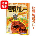 ご当地カレー 黒豚カレー 180g 【メール便送料無料】 オキハム 沖縄ハム ご当地レトルトカレー ご当地グルメ 沖縄 お土産 常温保存可 美味しい おすすめ ポークカレー 一人前 レンチン 湯煎