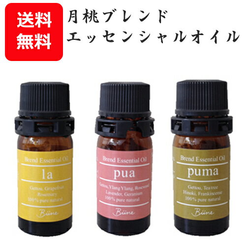 月桃 エッセンシャルオイル ブレンド ブレンドオイル 月桃ブレンドエッセンシャルオイル 3種類セット ゲットウ 精油 日本月桃 気分転換 シトラス フローラル ウッディ