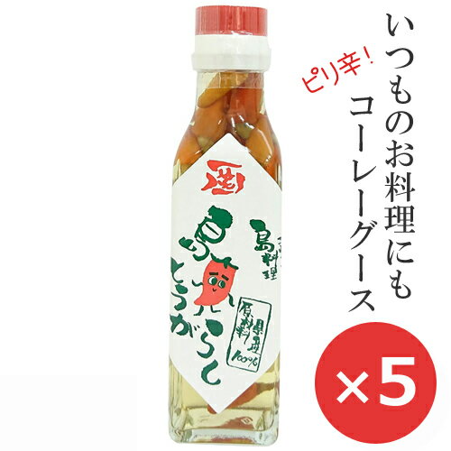 コーレーグース 島唐辛子 泡盛 調味料 120g×5本 コーレーグス 沖縄お土産 島とうがらし おすすめ ピリ辛 辛い調味料 ソーキそば 沖縄そば