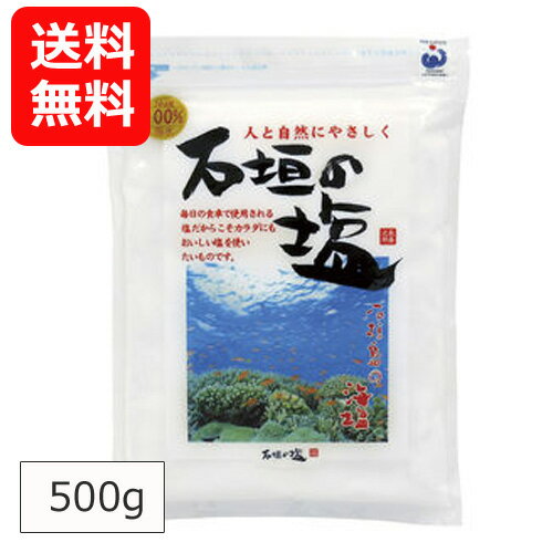 石垣の塩 天然塩 500g 【メール便送料無料】 株式会社石垣の塩 沖縄土産 沖縄の塩 石垣島 塩 沖縄 チャック付き 肉じゃが 刺身 野菜炒め おにぎり