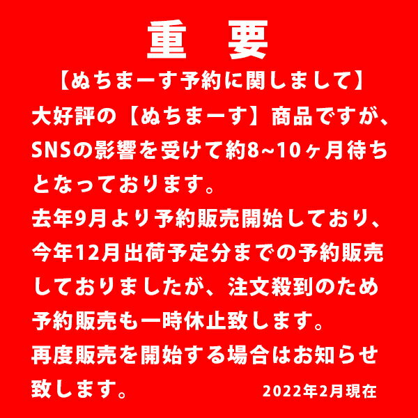 ぬちまーす 袋タイプ 111g 調味料 塩 沖縄お土産 沖縄土産 ミネラル豊富 しお 熱中症対策 塩分補給 天然ミネラル ご飯 塩おにぎり マッサージ塩 塩料理