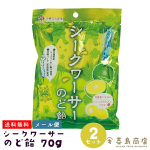 1000円ポッキリ 送料無料 メール便 シークワーサー のど飴 70g×2袋 沖縄 お菓子 飴 沖縄土産 のどあめ おすすめ 漢方 乾燥 ハーブ ビタミンC