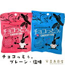 チョコっとう プレーン 塩味 沖縄お土産 沖縄土産 スイーツ お菓子 チョコ 黒糖 ばらまき バレンタインデー ホワイトデー 食べ比べ 沖縄菓子 沖縄黒糖 一部...