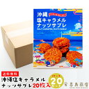 送料無料 塩キャラメル ナッツサブレ (大) 20枚入×20セット 沖縄土産 沖縄 お土産 お菓子 サブレ ばらまき ハロウィン イベント クリスマス バレンタインデー ホワイトデー 卒業式 入学式