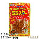 ミミガーチップ ミミスター 単品(40g) 3セット 5セット 10セット 沖縄土産 沖縄お土産 ビール おつまみ 家飲み お取り寄せ 父 珍味 極める つまみ 酒の肴 ご当地 豚 ジャーキー 辛いもの好き 辛いもの特集 辛い調味料 辛い食べ物 辛い 食品 一部送料無料