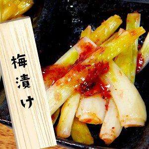 【今だけ新物!】島らっきょう 梅漬け 伊江島産 らっきょう漬け 国産 野菜 漬物 ラッキョウ おすすめ 漬物 らっきょう 沖縄 お土産 通販 人気 沖縄料理 おつまみ 牧志公設市場 国際通り 沖縄土産 一部送料無料
