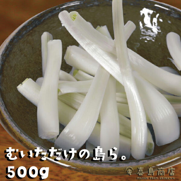 むいただけの島らっきょう 500g 伊江島産 らっきょう漬け 国産 野菜 漬物 ラッキョウ おすすめ お漬け物 らっきょう 沖縄 お土産 通販 人気 お取り寄せグルメ やちむん 沖縄料理 沖縄名物 沖縄特産品 おつまみ 国際通り おすすめのサムネイル