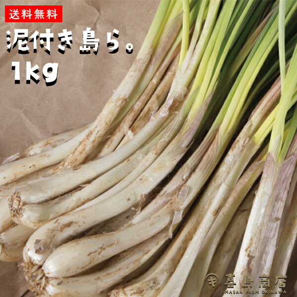 送料無料 島らっきょう 泥付き島らっきょう 1kg 伊江島産 らっきょう漬け 国産 野菜 漬物 ラッキョウ おすすめ お漬け物 らっきょう 沖縄お土産 通販 人気 お取り寄せグルメ やちむん 沖縄料理 沖縄名物 沖縄特産品 おつまみ 国際通り