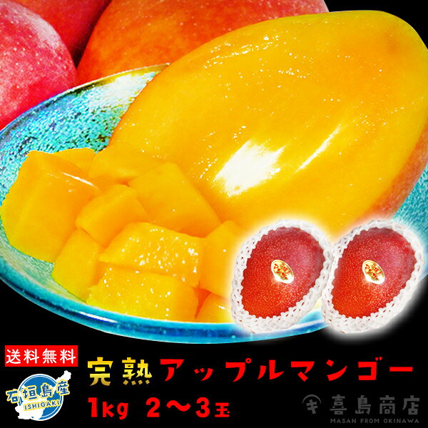 送料無料 石垣島産 完熟マンゴー1kg (2～3玉) 沖縄 フルーツ ギフト 果物 旬のフルーツ 甘い 通販 人気 青果 産地直送 期間限定 沖縄お土産 南国 沖縄ギフト お取り寄せ 贈り物 御礼 内祝い 結婚祝い 誕生日 プレゼントのサムネイル
