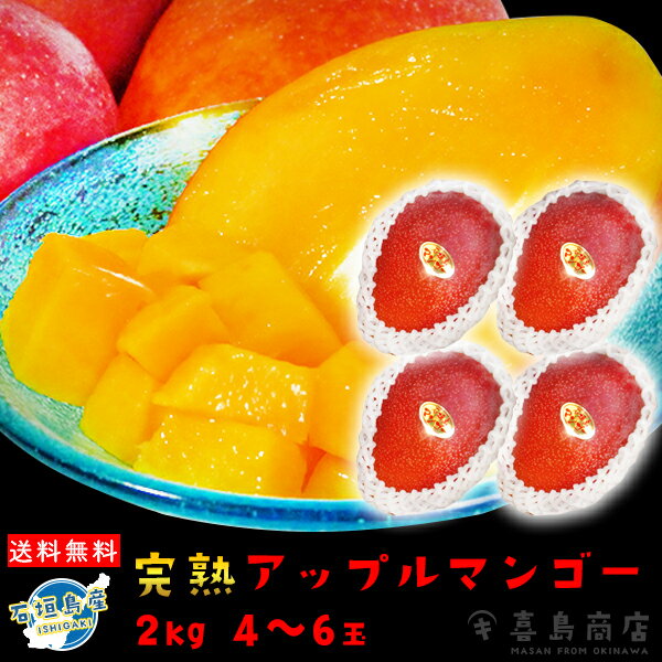 送料無料 石垣島産 完熟マンゴー2kg (4～6玉) 沖縄 フルーツ ギフト 果物 旬のフルーツ 甘い 通販 人気 青果 産地直送 期間限定 沖縄お土産 南国 沖縄ギフト お取り寄せ 贈り物 御礼 内祝い 結婚祝い 誕生日 プレゼントのサムネイル