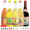 お中元 送料無料 請福酒造 5種 5本セット 専用箱付き ゆず酒 梅酒 シークワーサー 生姜レモン グレープフルーツシークワーサー 10〜12度 720ml 泡...
