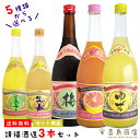 お中元 送料無料 選べる3本セット 請福酒造 720ml 10〜12度 専用箱付き 泡盛仕込み ゆず酒 梅酒 シークワーサー 生姜レモン グレープフルーツシーク...