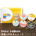 お中元 送料無料 ギフト スイーツ 沖縄バラエティパック 6種 6個入 12個入 塩パイン 桑の実 粟国の塩 黒糖キャラメル マンゴー ドラゴンフルーツ アイス...