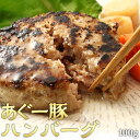 あぐー豚 ハンバーグ 100g アグー豚 沖縄 お歳暮 お中元 ギフト 贈答 お肉 ブランド豚 冷凍 土産 取り寄せ まとめ買い