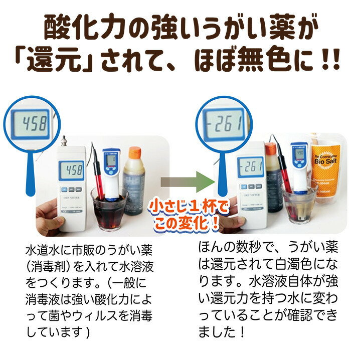 【人気！リ・コエンザイム2セット(食用・スパ用)】母の日 父の日 敬老の日 ギフト 贈り物 プレゼント 御礼 お祝い 内祝い 健康 お手軽 2