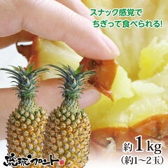 https://thumbnail.image.rakuten.co.jp/@0_mall/okinawa-senka/cabinet/07317480/rfo0011.jpg
