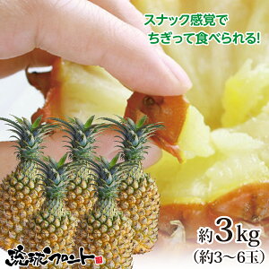 沖縄産の美味しいパイナップルが食べたい！おすすめは？