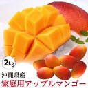 ★ご注文順に出荷中★ 【送料無料】 沖縄県産 アップルマンゴー 家庭用 約2kg(4玉~9玉) 沖縄 マンゴー 産直 ※日時指定・同梱不可