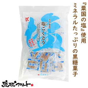 塩こくとう 130g 沖縄 お土産 沖縄土産 黒糖 塩黒糖 黒糖菓子 黒砂糖 さとうきび ミネラル補給 塩分補給